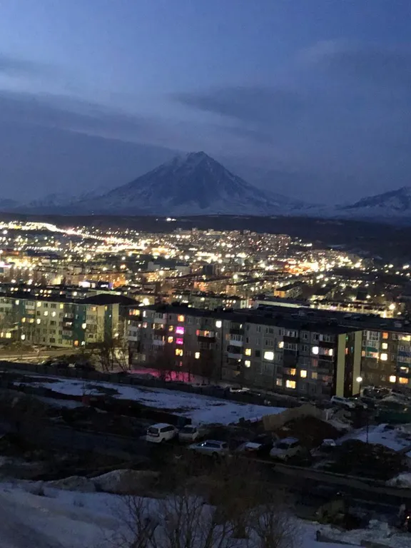 Уютная квартира с шикарным видом на вулканы, город и Мишенную сопку
