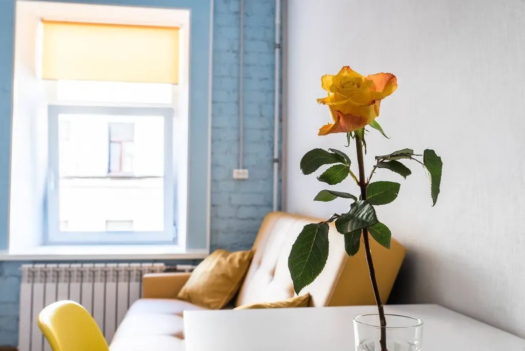 Квартира Комната — Санкт-Петербург