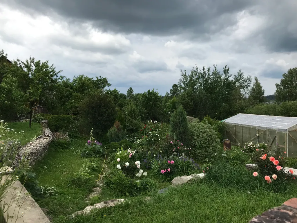 Три Галки Дом в саду