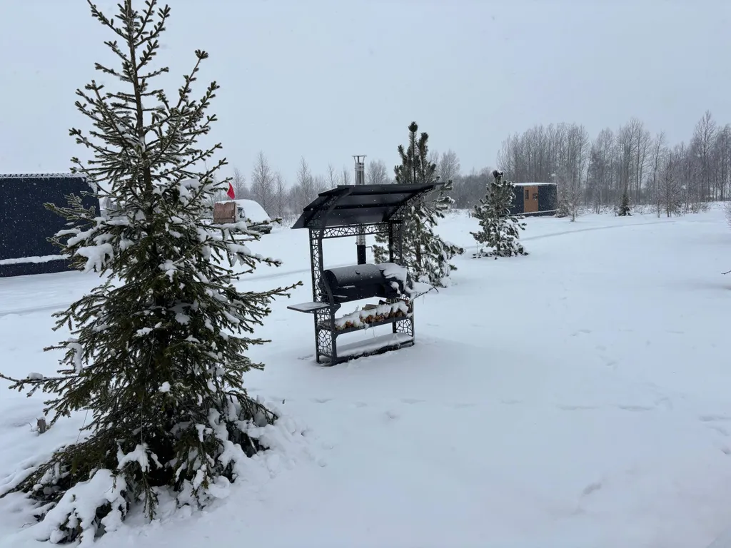 Сканди дом Зело