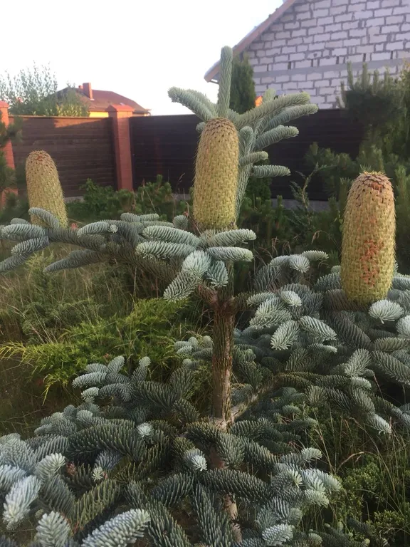 Дом в средиземноморском стиле