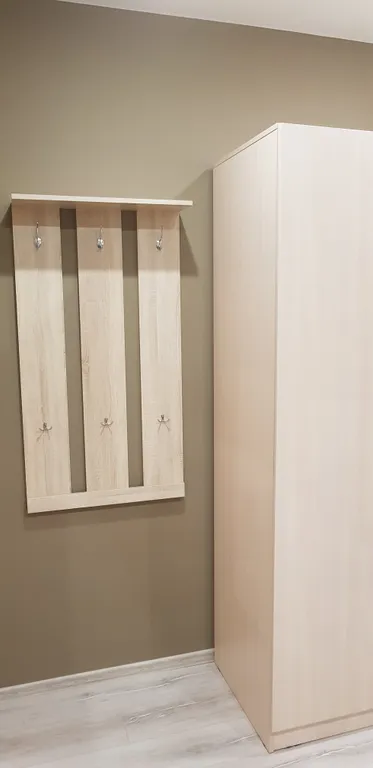 Квартира Квартира Apartment on Chapaeva Ecostyle XL — Петрозаводск