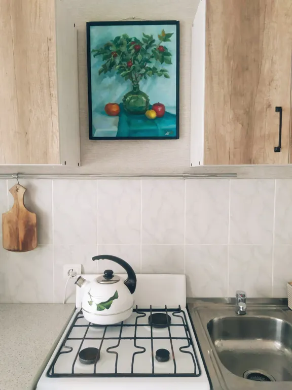 Крупногабаритная квартира в центре рядом с ТЦ Идея