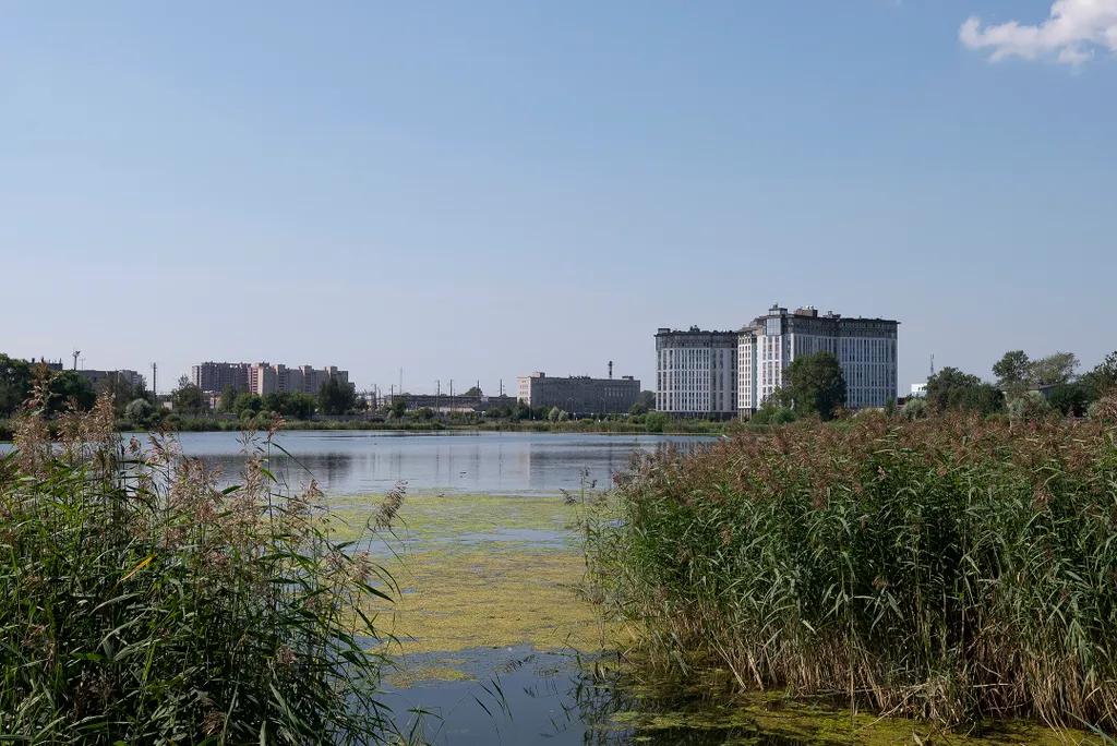 Волшебная студия у пруда с парком