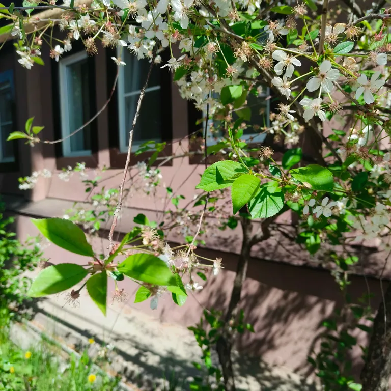 Коттедж Дом недалеко от центра Нижнего Новгорода — Нижний Новгород