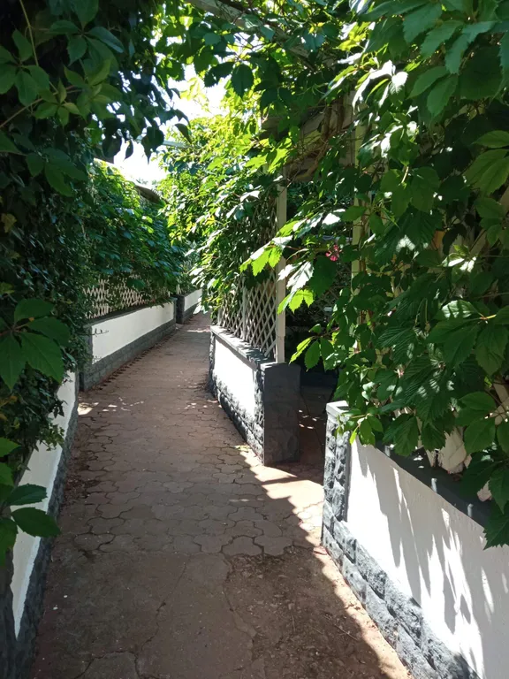 Номер с удобствами в 5 минутах от моря