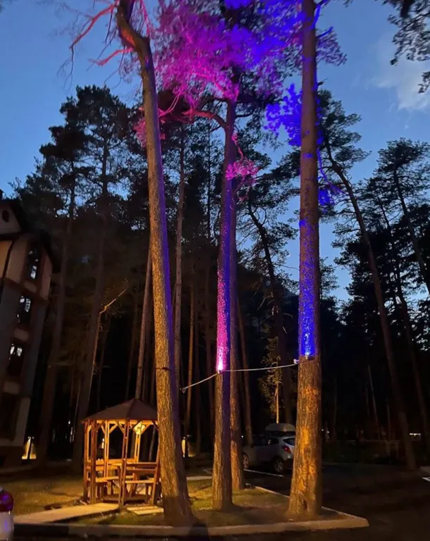 Уютная квартира в самом живописном уголке планеты