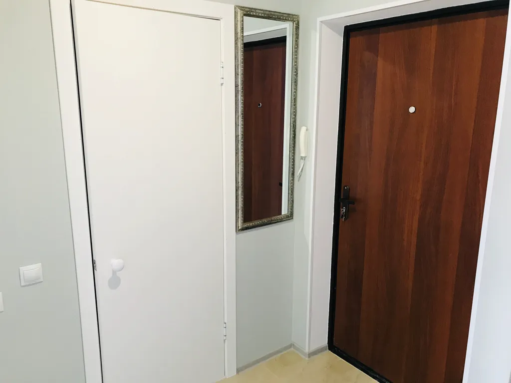 Уютная однокомнатная квартира