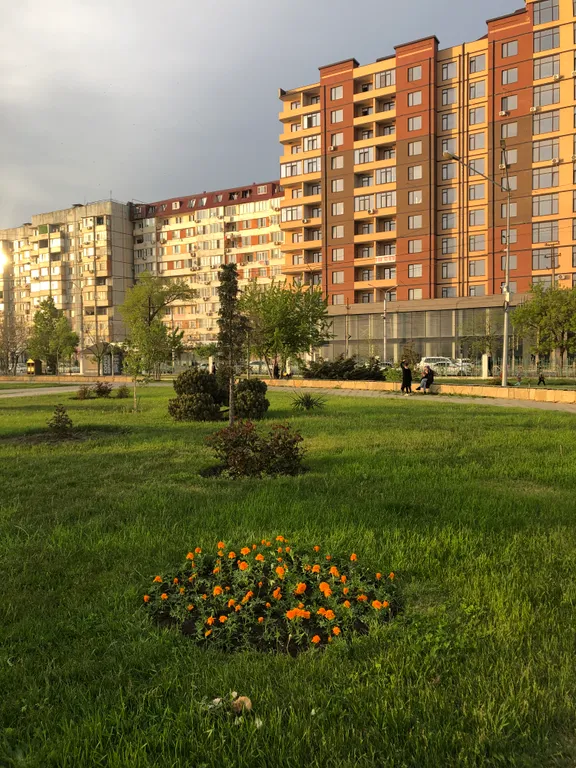 Апартаменты у моря, на первой береговой линии