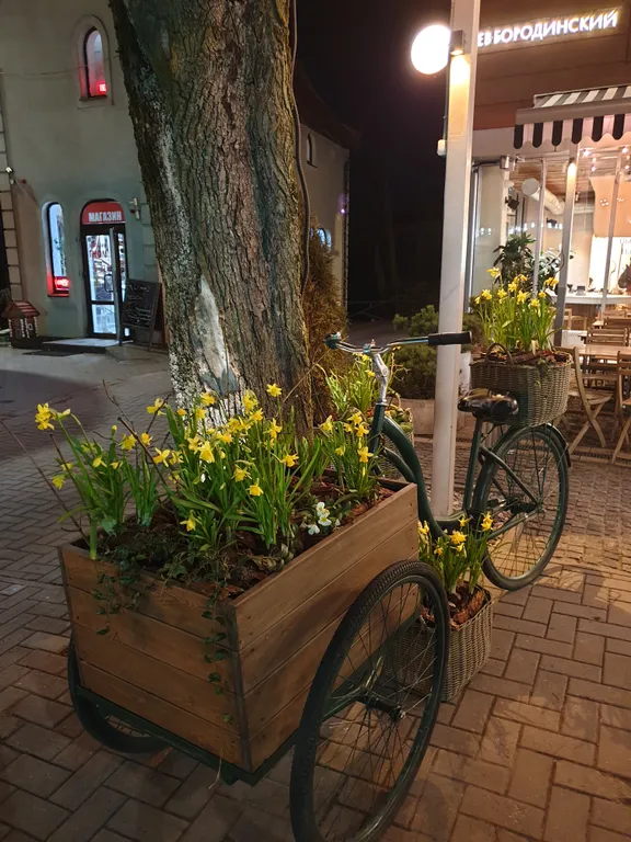 Квартира Уютная 2-комнатная квартира — Светлогорск