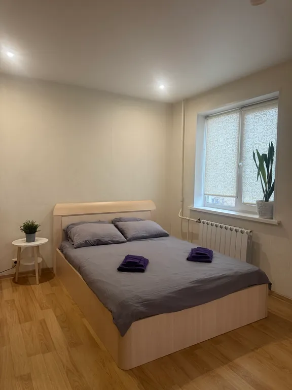 Квартира в центре города с комфортом — аренда посуточно в Подольск