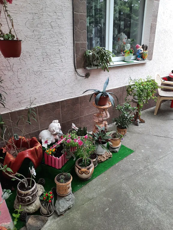 Счастливый дворик