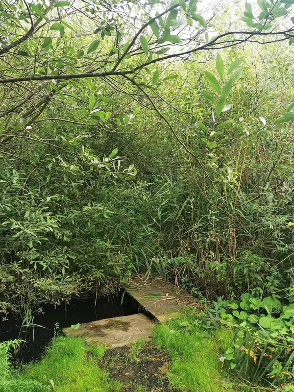 Уютная квартира в городе-спутнике столицы