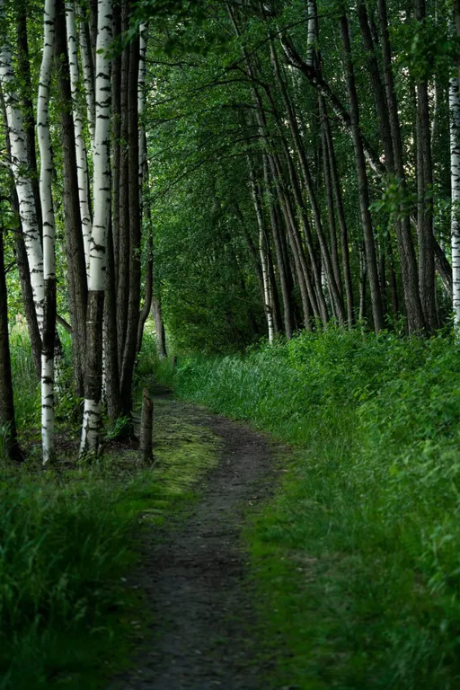 Квартира на берегу озера в национальном парке Марий Чодра