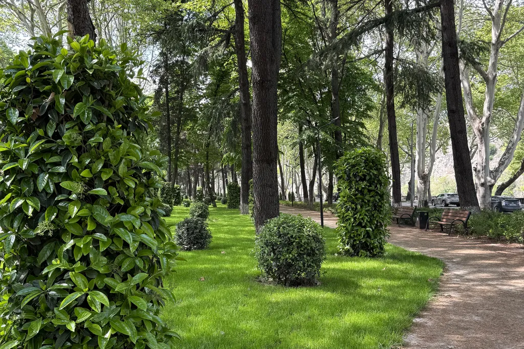 Уютно и стильно в центре города, близко к старому Тбилиси