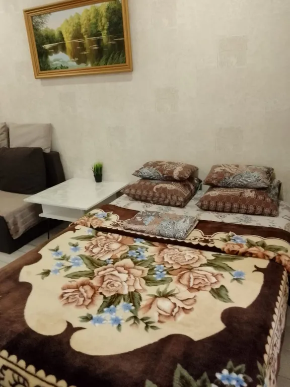 Уютная квартира у Парка Победы и Бульвара — аренда посуточно в Йошкар-Ола