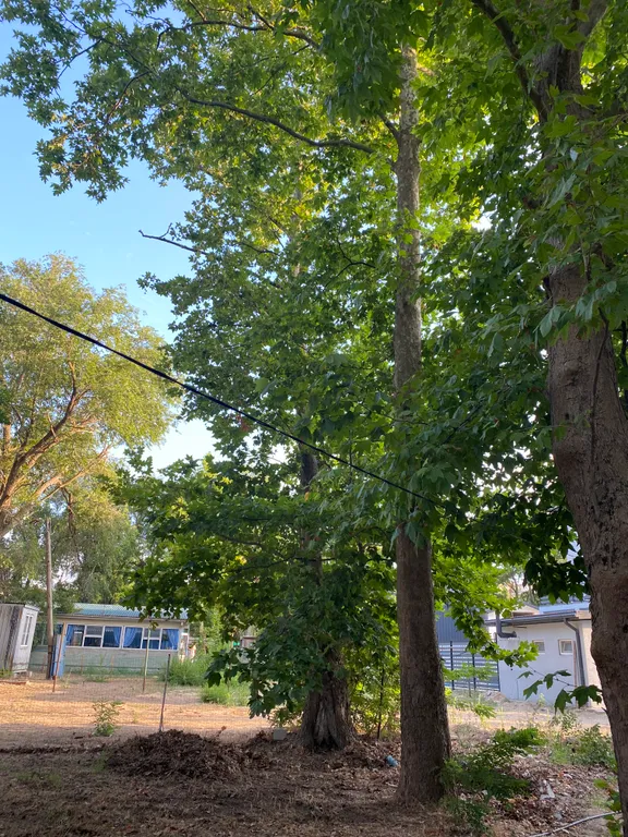 Жилье у моря