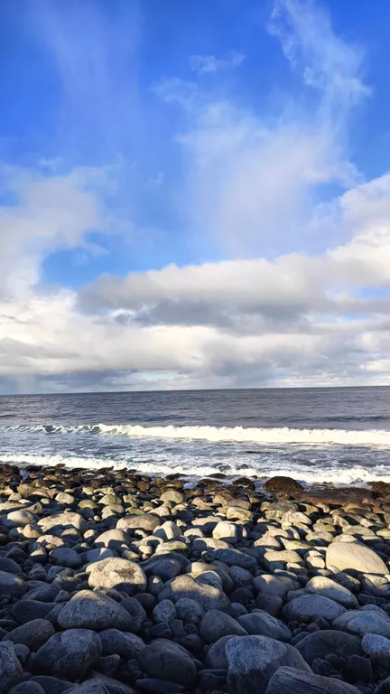 Квартира в Териберке