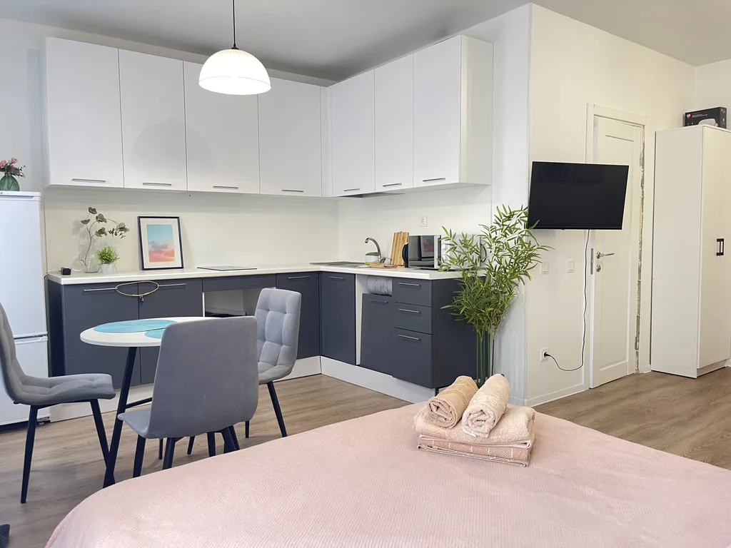 Большая квартира-студия с ванной для 3х гостей