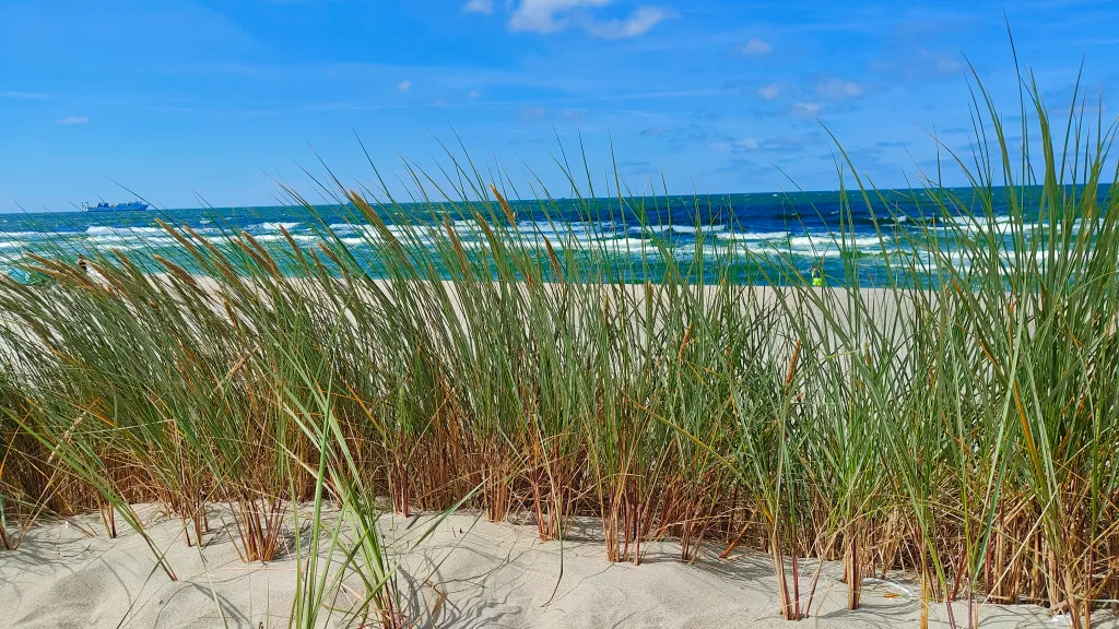 Апартаменты с видом на море
