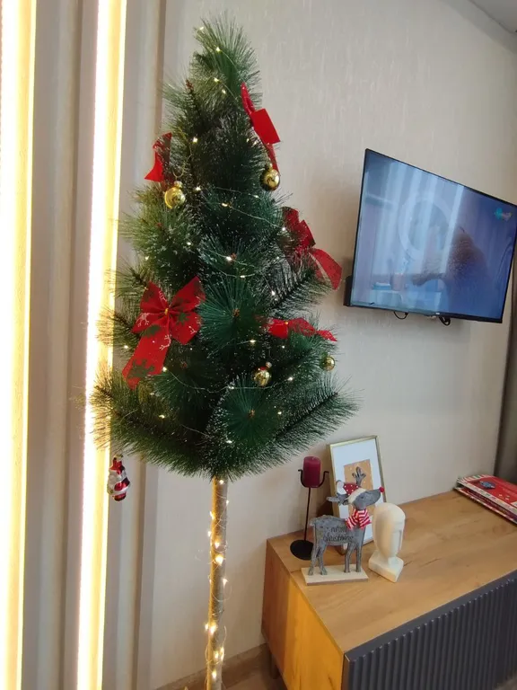 Просторная студия с видом на лес