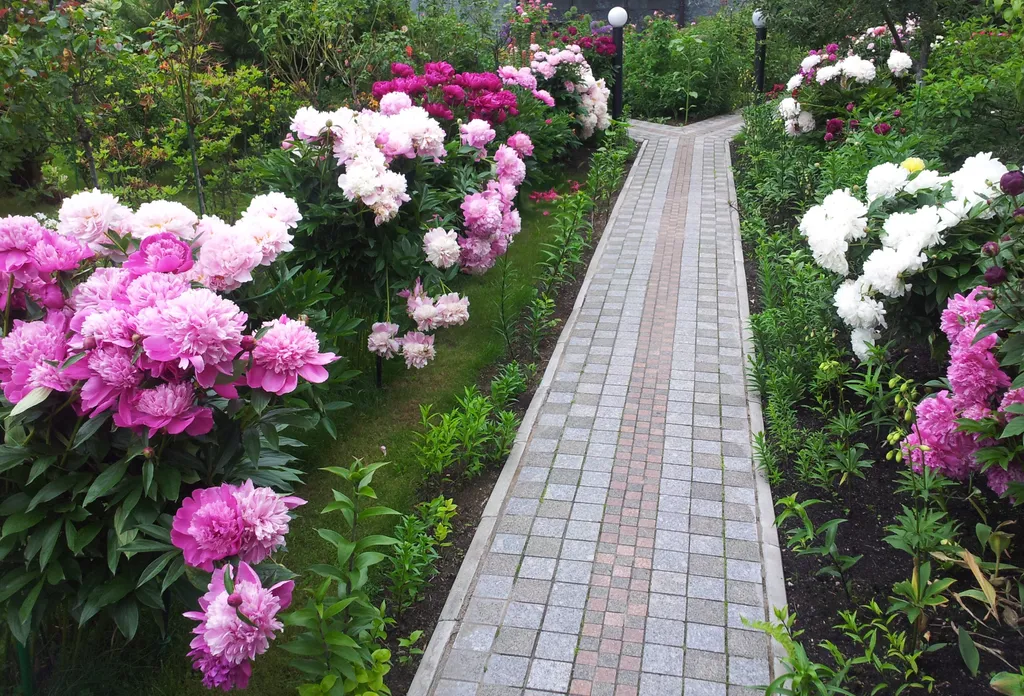 Дом в ботаническом саду