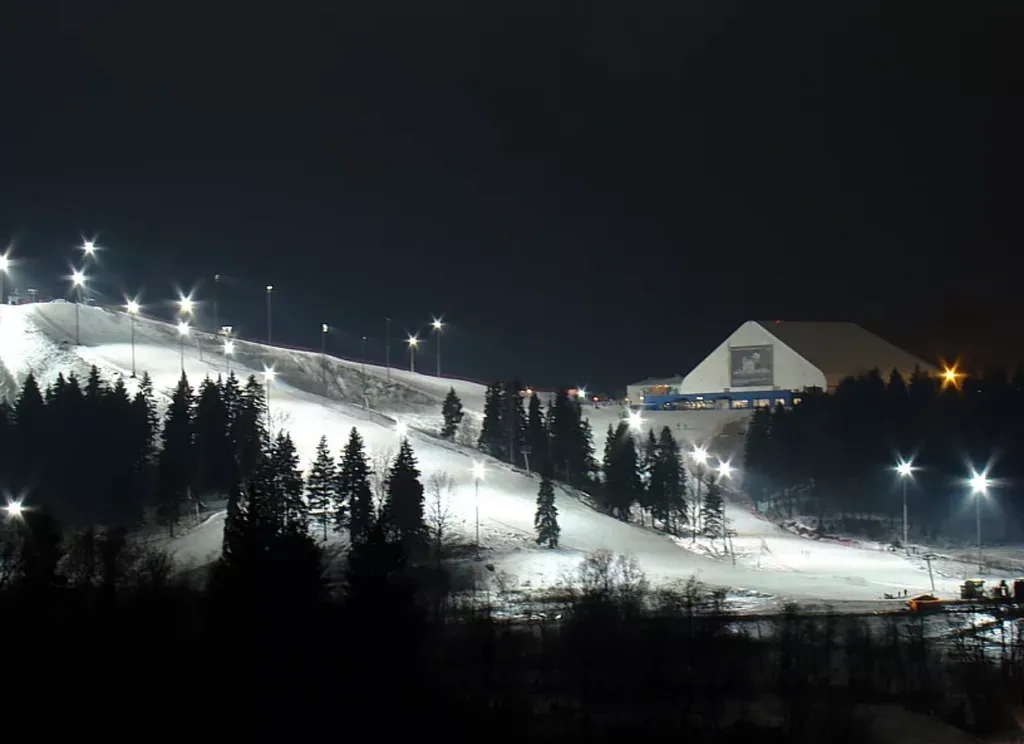 Уютная квартира у горнолыжного курорта Сорочаны