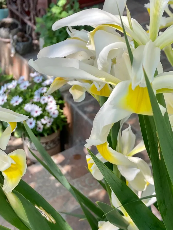 Ялтинский домик