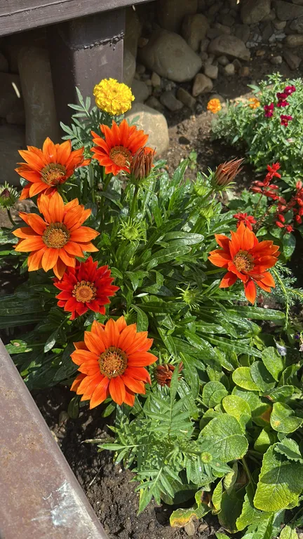 Гостевой дом-под небом архыза