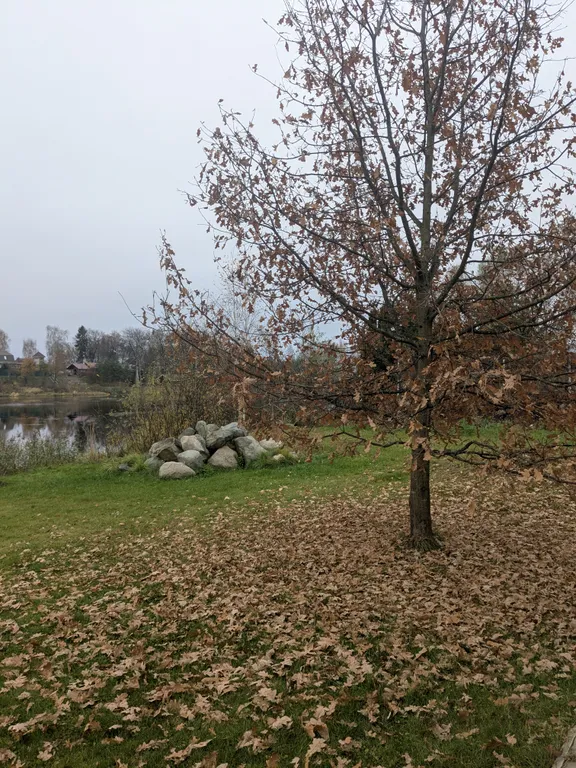 Уютный дом на берегу реки с русской баней, рыбалка