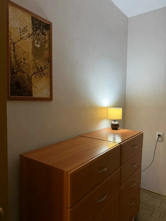 Уютная 3-комнатная квартира