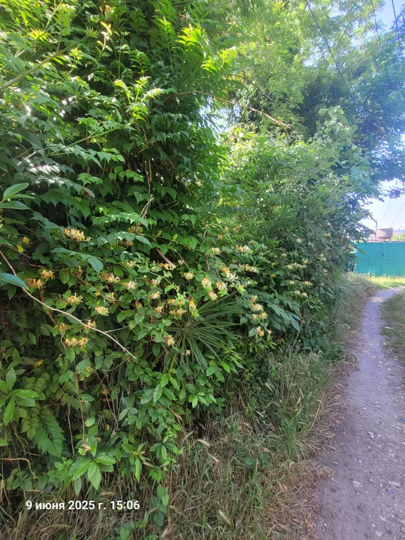 Эко домик у моря