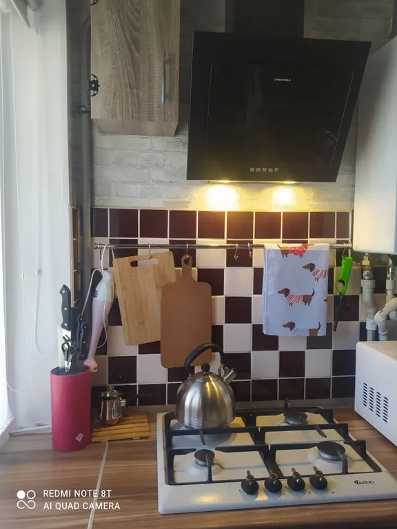 Уютная двухкомнатная квартира в Светлогорске