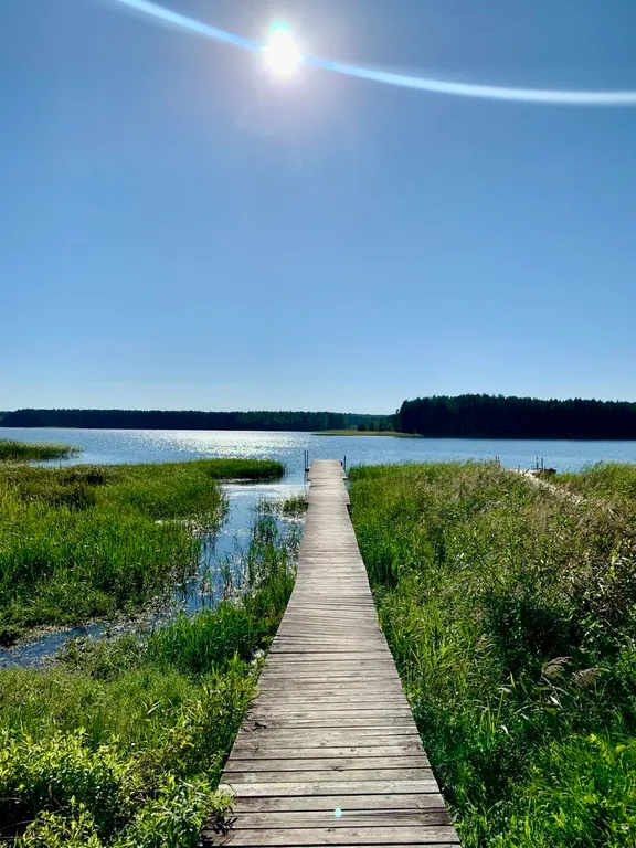 Коттедж Дом на берегу озера Селигер в сосновом бору — Осцы