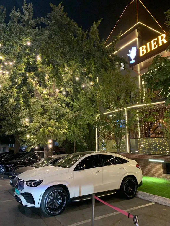 Центр города парки и транспорт рядом