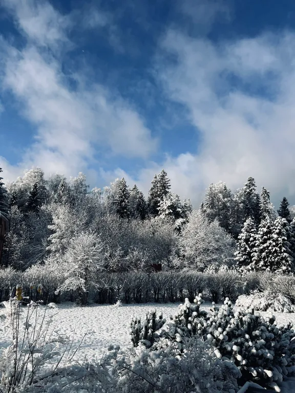 Коттедж 2-комнатный Дом — Раково (г/о Солнечногорск)
