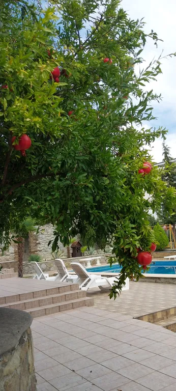 Вилла Аю-Даг