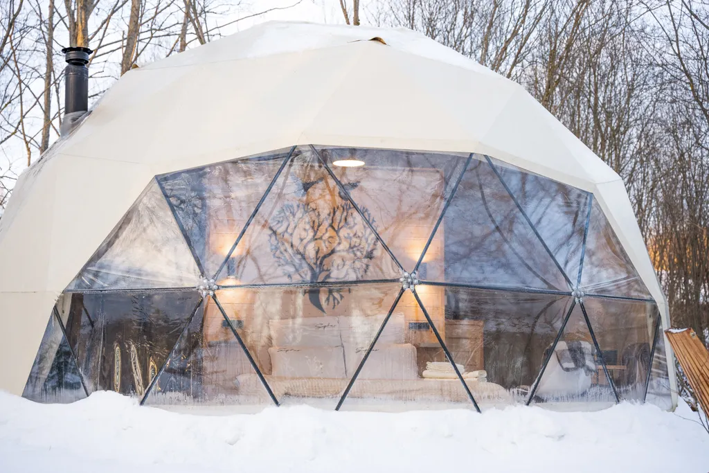 Коттедж Панорамный всесезонный купол с видом в лес — Сиверский