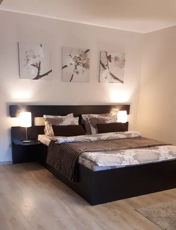 Уютная квартира - студия в центре города — аренда посуточно в Витебск