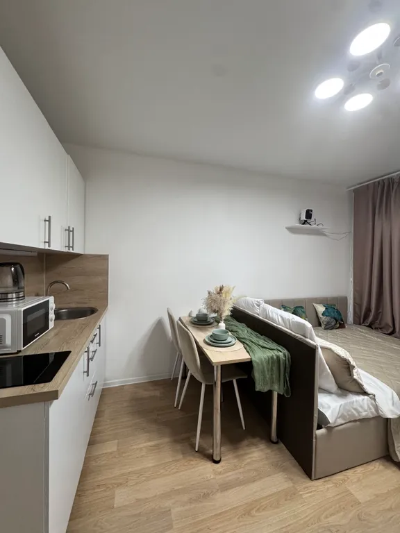 Студия с проектором около аэропорта Внуково