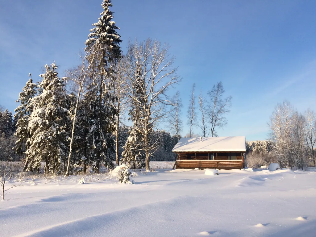 Коттедж Загородный дом в лесу вблизи залива — аренда посуточно в Выборг