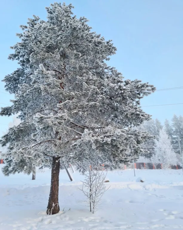 Квартира Семейный апартамент с 2 спальнями и кухней-гостиной — Мичуринское