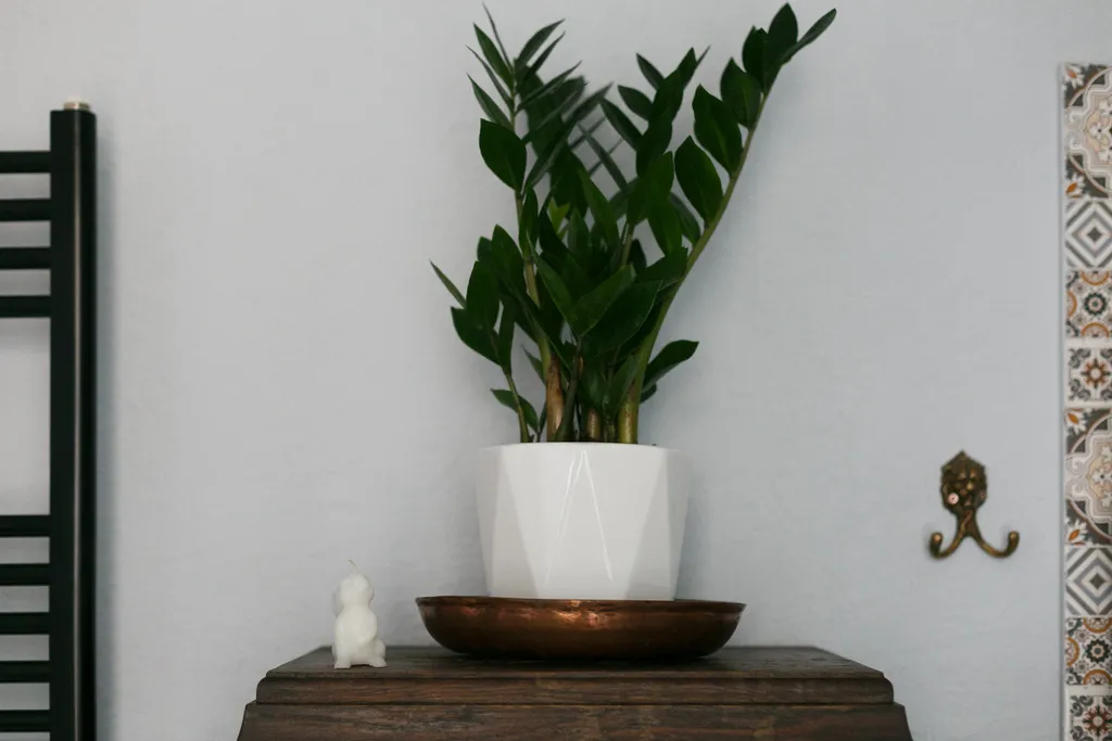 Душевная 2х комнатная квартира в самом сердце исторического Тбилиси.