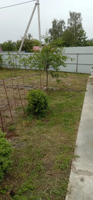 Баня с верандой