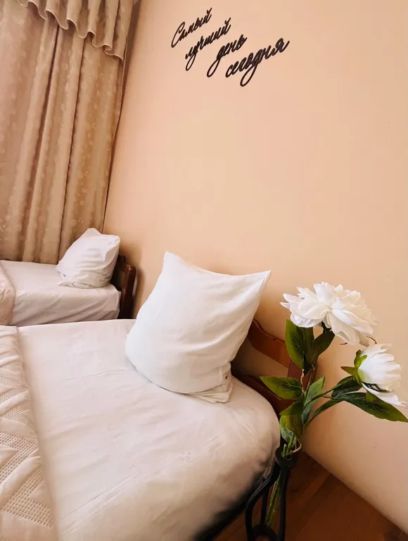 Двухместный стандарт