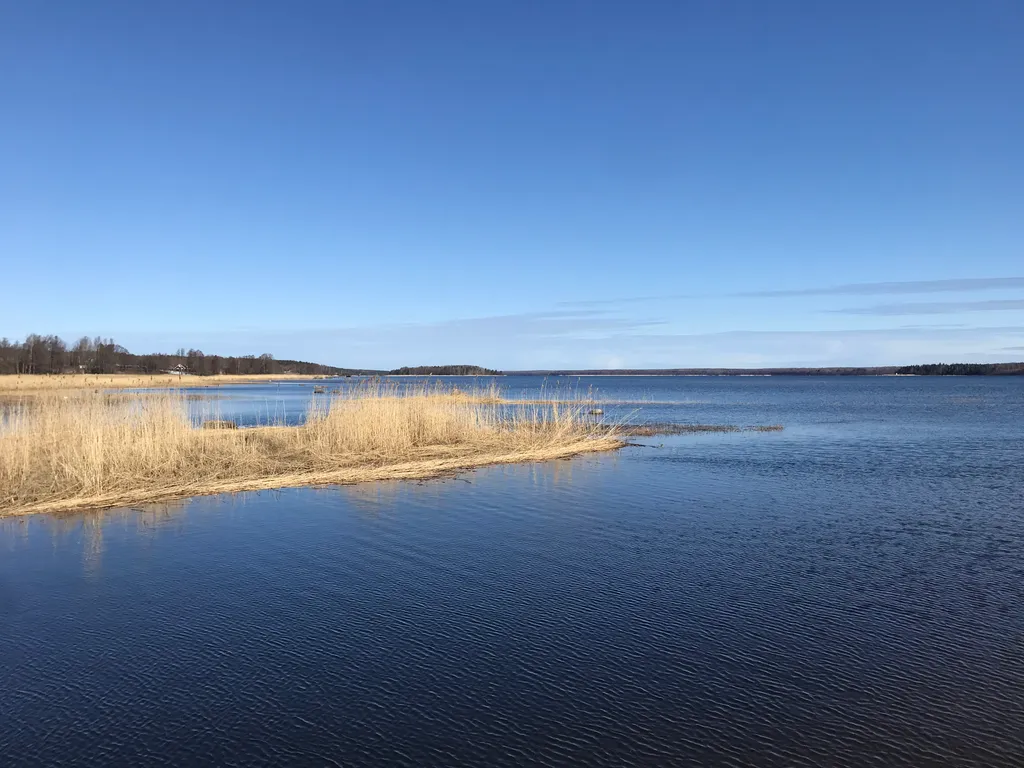 Коттедж Домик на море, на первой линии — Приморск