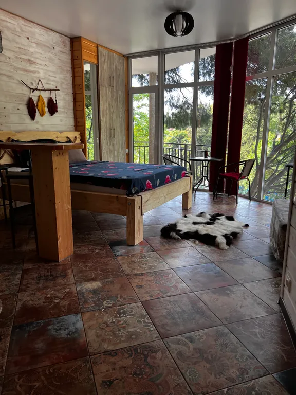 Студия с панорамными окнами и видом на горы