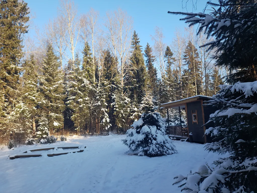 Авторский домик В ЛЕСУ - "Карельский"