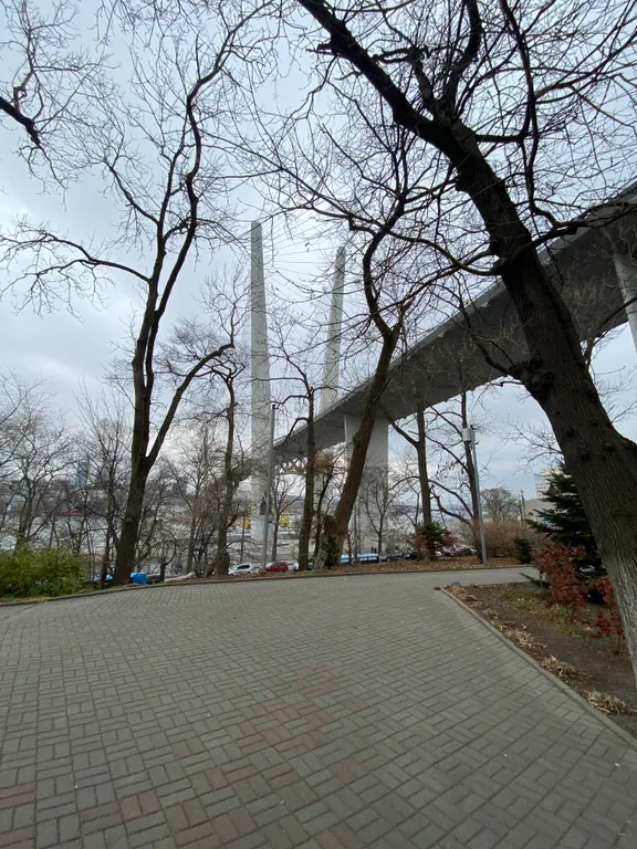 Квартира 1-комнатная Квартира — Владивосток