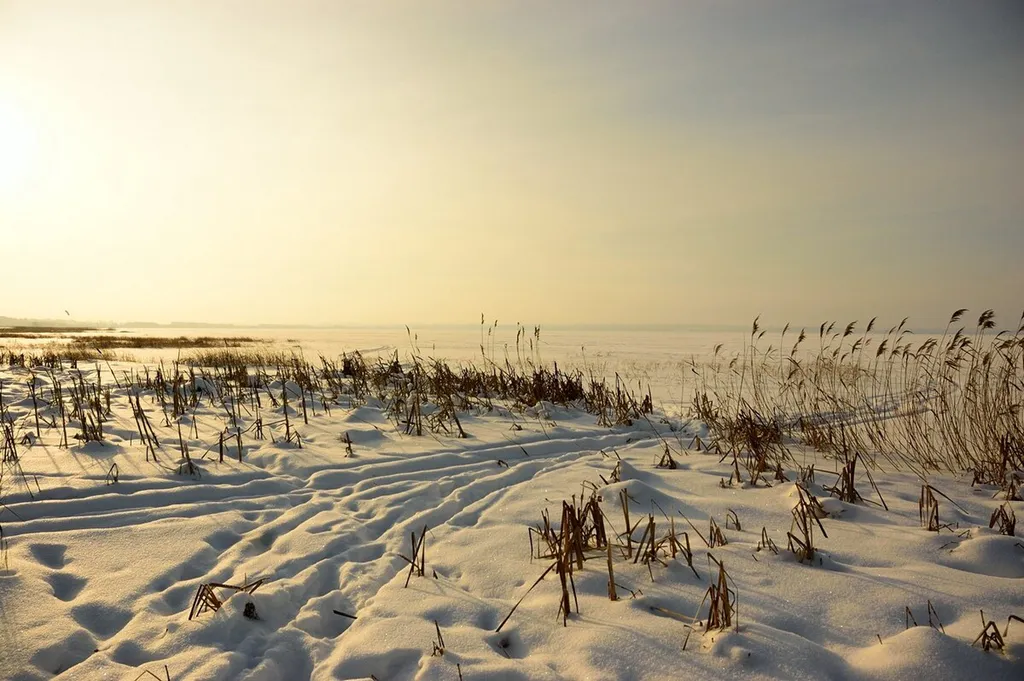 Уютный домик и баня рядом с Плещеевым озером